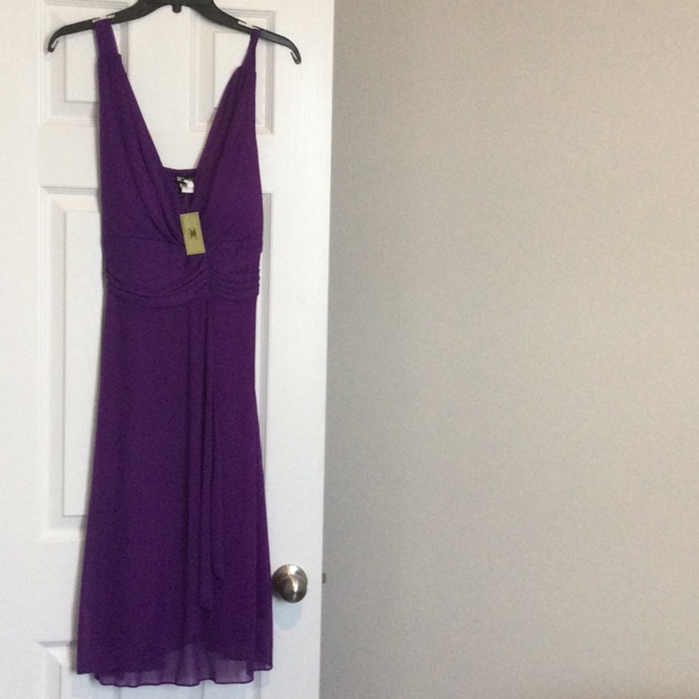 Pretty purple dress.  Polyester with sheer overlay.